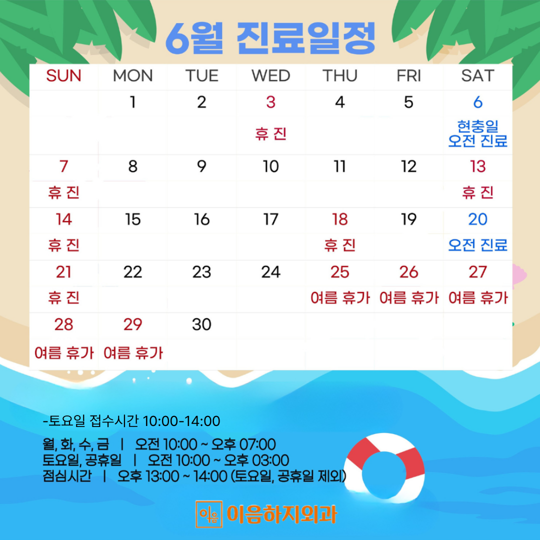 진료일정