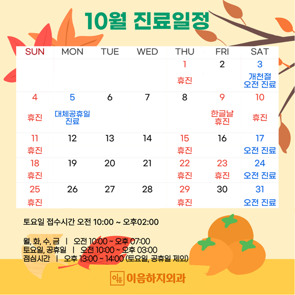 진료일정